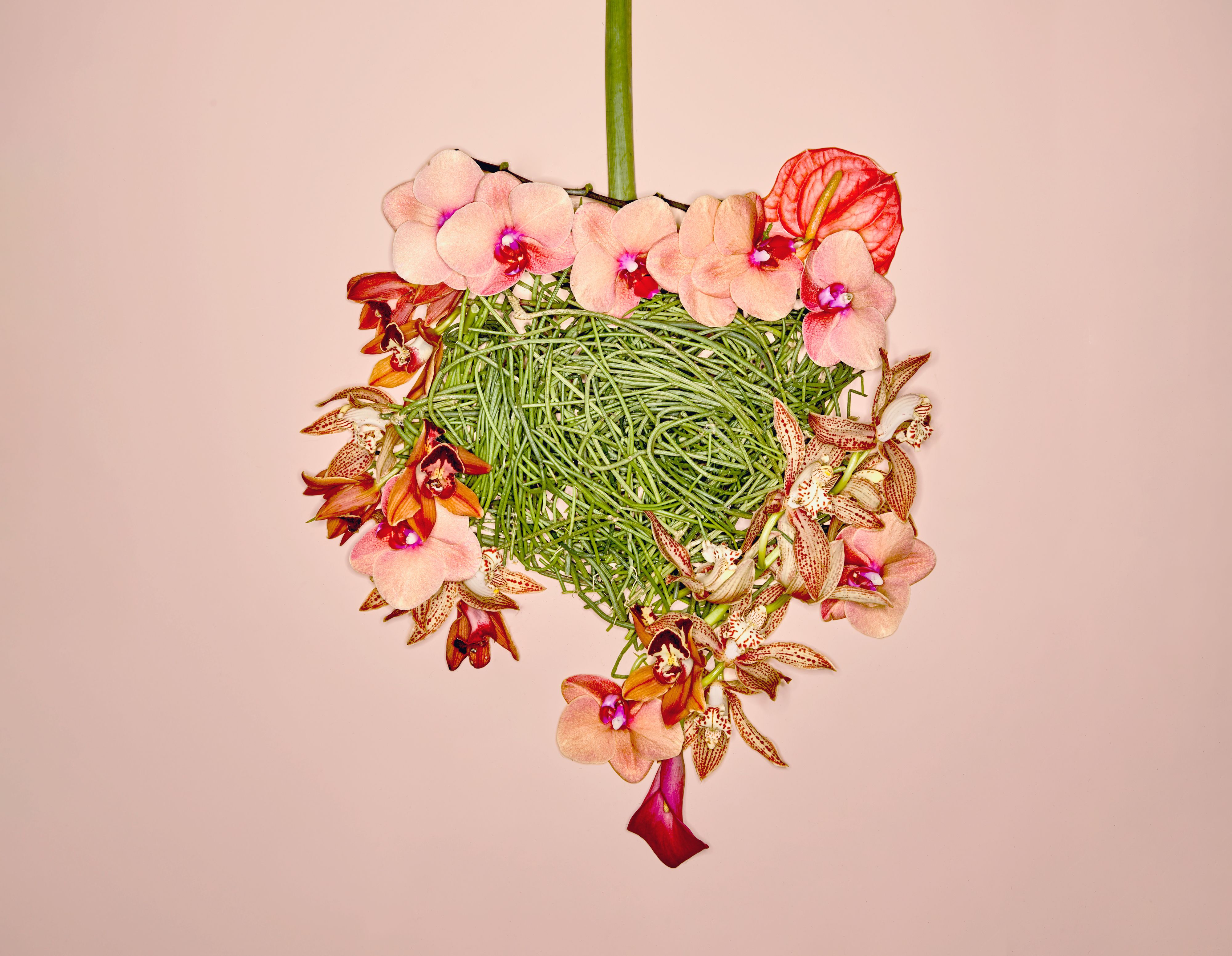 7 Legit Ways to Improve Your Gut Health, According to GI Doctors