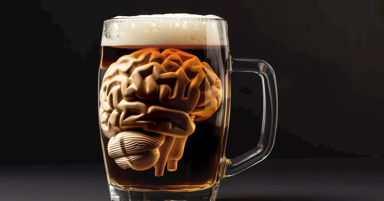 Alcohol Disrupts Brain's Stress-to-Flexibility Circuit, Potentially Fueling Relapse