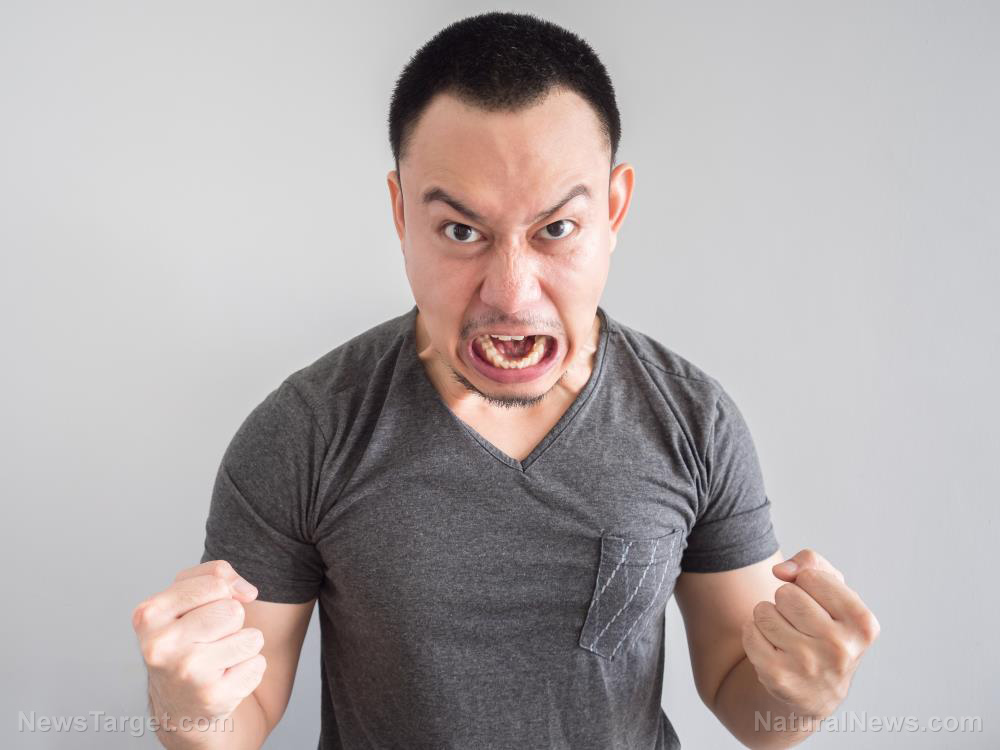 The fitness factor: New study suggests your workout habit may be your best defense against daily stress