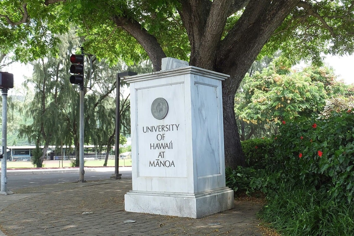 UH Mānoa Docs Tell Hawaiʻi Dads Their Health Can Make or Break Baby’s Start